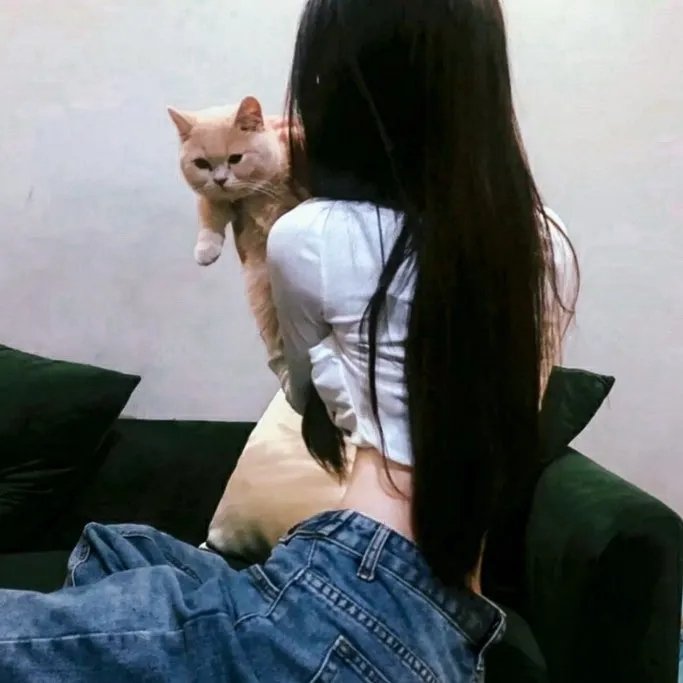 欢愉主妇